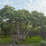 KOSAL FARMS